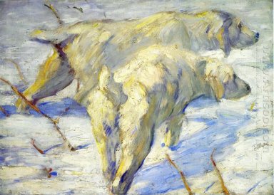 Perros de pastor de Siberia