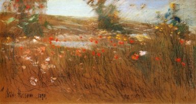 Poppies Isole Shoals