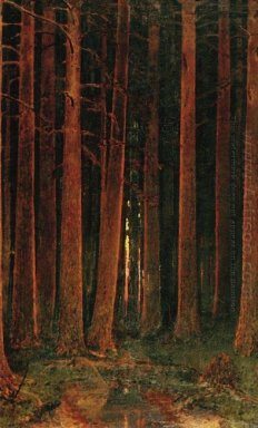 solnedgång i skogen 1878