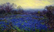 Campo de Bluebonnets