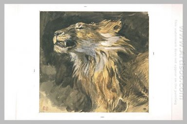 Roaring Lion S Cabeça