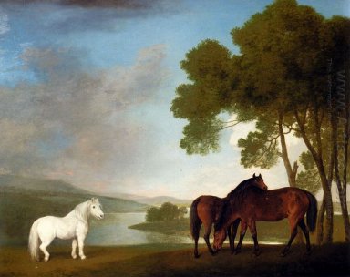 Två Bay ston och en grå ponny i en landskap