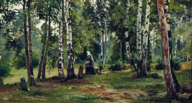 Birch Grove