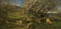 Apple-Blüten im Ober Wye
