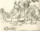 Un grupo de árboles de pino 1889