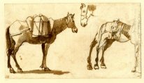 Desenho de mulas incluindo um Corpo Inteiro