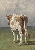 Study of a Cow