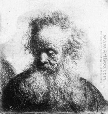 Alter Mann mit wallendem Bart Blick nach unten links 1631