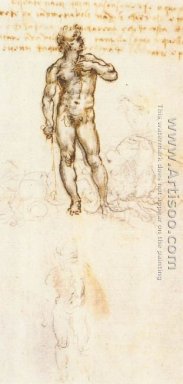Studie av David av Michelangelo