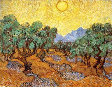 Оливковые деревья с желтыми небо и солнце