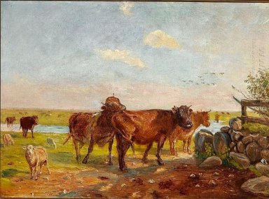 Cattle on Saltholm