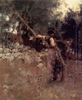 Capri Girl (oder unter den Olivenbäumen, Capri)