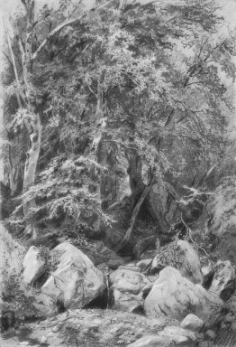 Bäume an einem Bach auf Berg Castel 1879