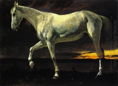 Kuda Putih Dan Sunset