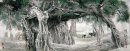 Banyan - Chinese Painting