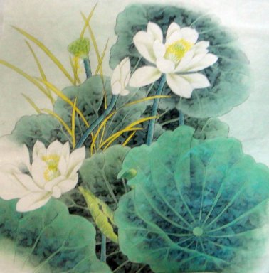 Lotus - pintura chinesa