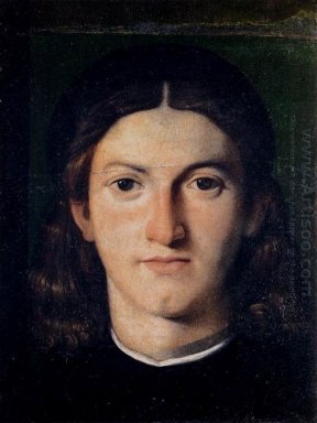 Ritratto Di Un Giovane Uomo 1505