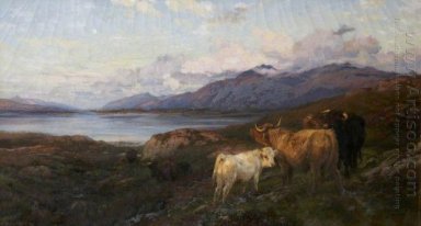Cattle in a Highland Loch