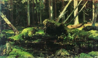 Vent des arbres abattus 1887