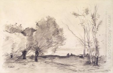 Willows Och Vita Poplars 1872