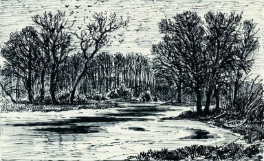 Swamp In Het Bos 1885