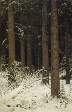 Abete Foresta In Inverno 1884
