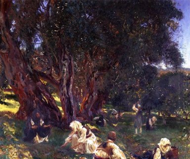 Cueilleurs d\'olives albanais 1909