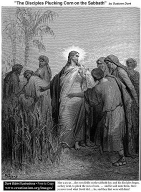 Los discípulos Depilarse Corn On The Sabbath