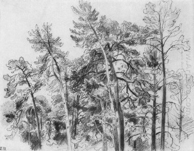 The Tops Of The Pines 1