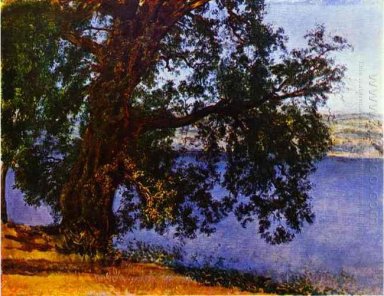 A Tree over Water in the Vicinity of Castel Gandolfo
