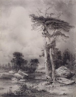 velho pinheiro 1854