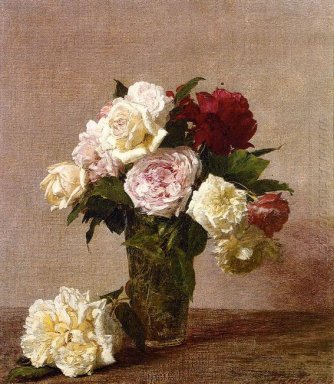 Розы 1885 1