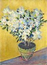 White Azaleas In A Pot 1885