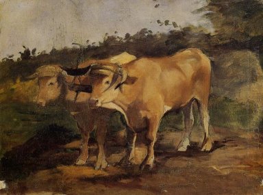 Dois touros vestindo um Yoke 1881
