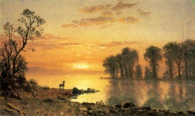 Sunset herten en rivier