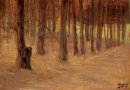 Wald mit sonnenbeschienenen Lichtung im Hintergrund 1907