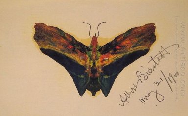 papillon deuxième version 1900