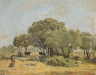 Olivträd i Spanien 1878