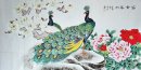 Peacock - Peinture chinoise