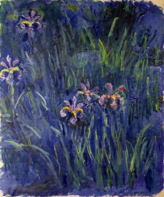 Irises 2 1917