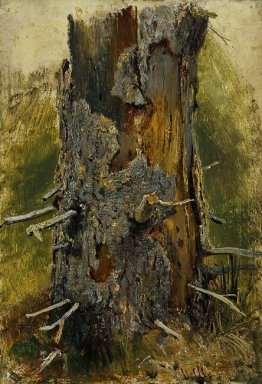 The Bark On The Trunk Dry 1890