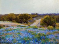 Bluebonnets au Late Afternoon