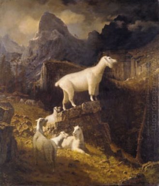 Kambing Gunung Berbatu 1885