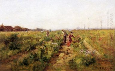In the Berry Field