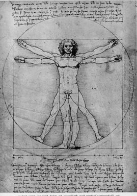 Homem Vitruviano, Estudo de proporções, a partir de Vitruvius De
