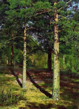 Die Sonne beleuchtet Pines 1886