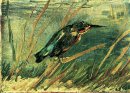 Die Kingfisher 1886