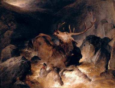 Hjort och Deer Hounds i en Mountain Torrent