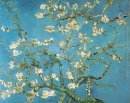 Cabang Dengan Almond Blossom