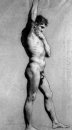 Academic Male Nude 3